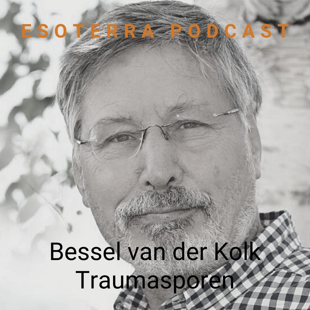 bessel van der kolk